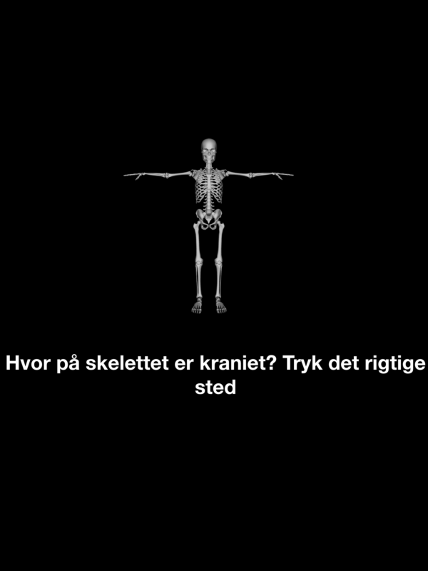 Kroppen bevæger sig - evaluering - Image 3