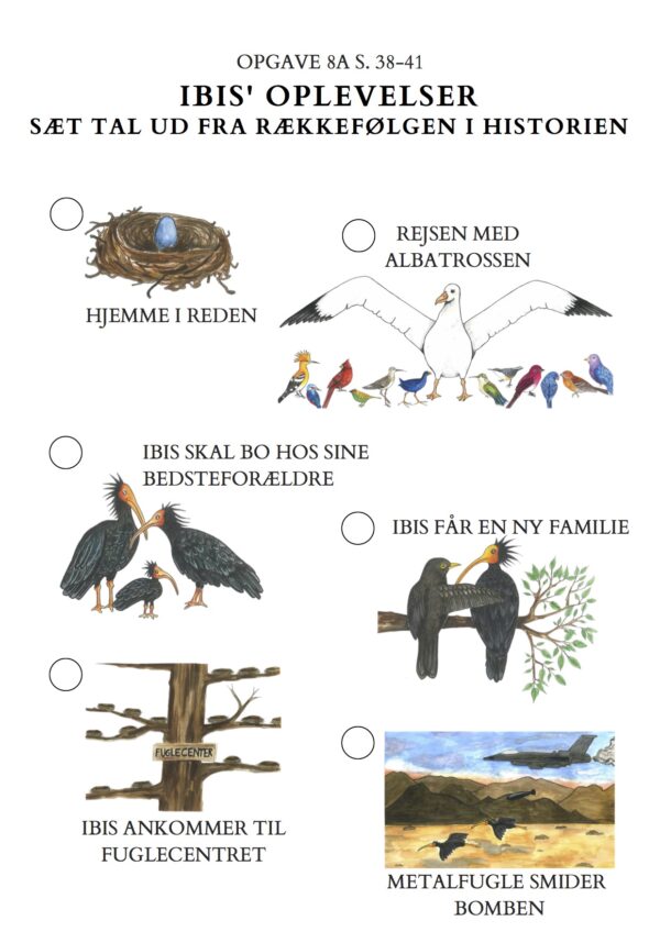 "Fortællingen om Ibis" - Undervisningsforløb/opgavesæt - Image 4
