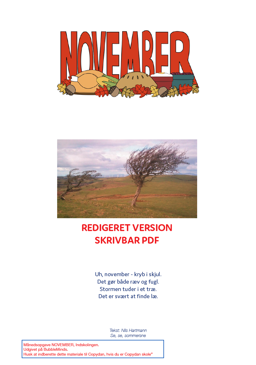 Månedsopgave November Skrivbar