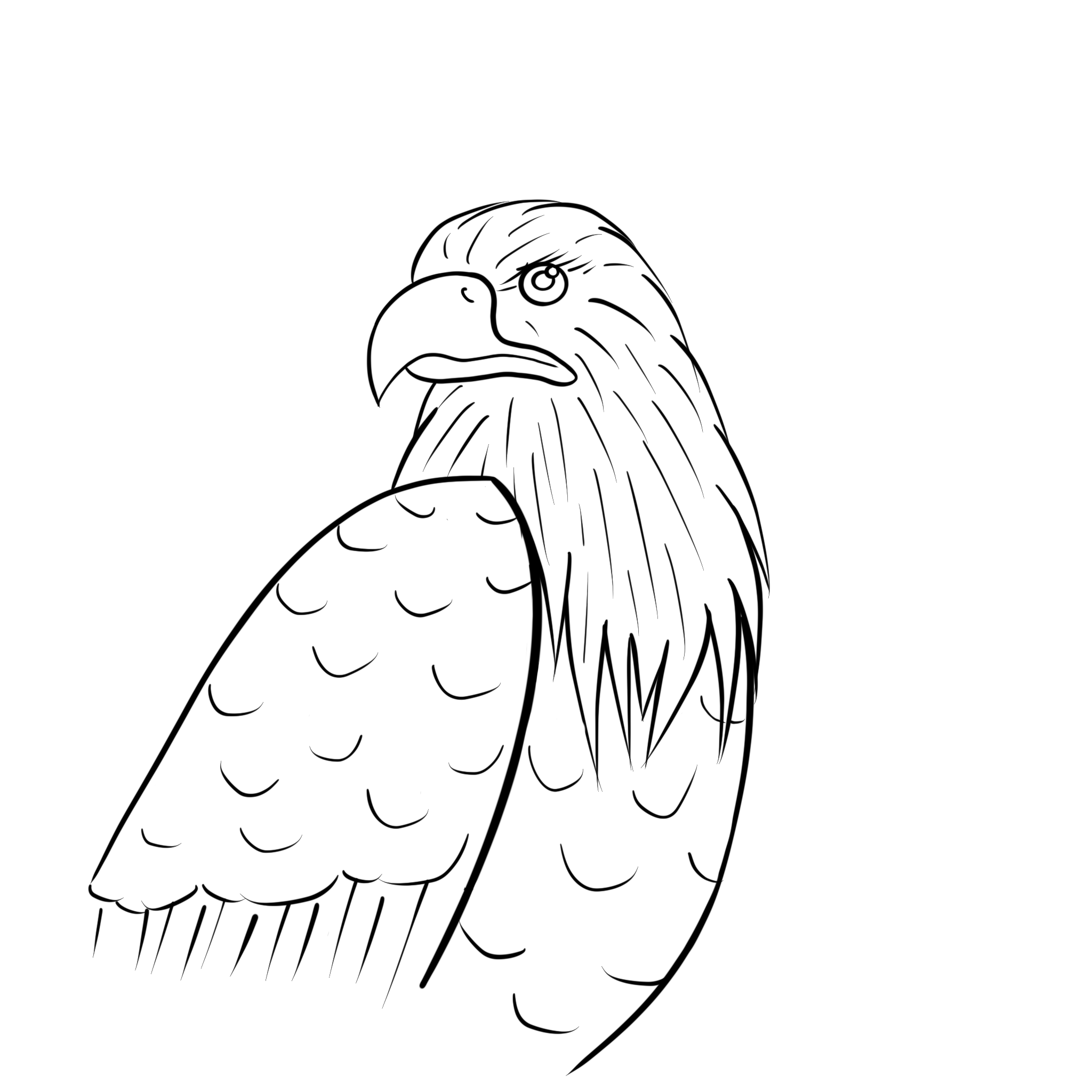 USA | Clipart | Sort/Hvid - Billede 4