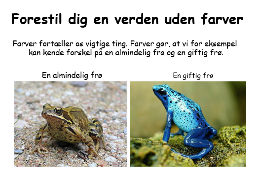 Farvelære - Billede 4