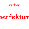 Røre-gøre grammatik 9: Latinske betegnelser (plancher, elevark og Quiz og Byt) - Image 5