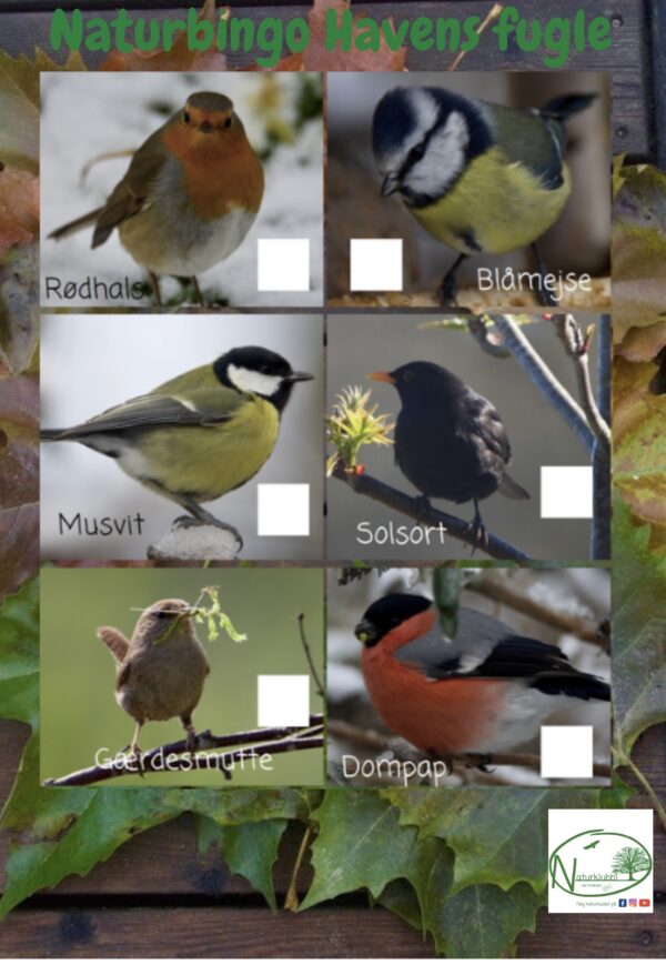 Naturbingo: Havens fugle - Image 2