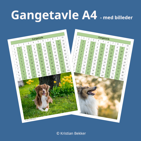 Gangetavler med hunde - Image 2