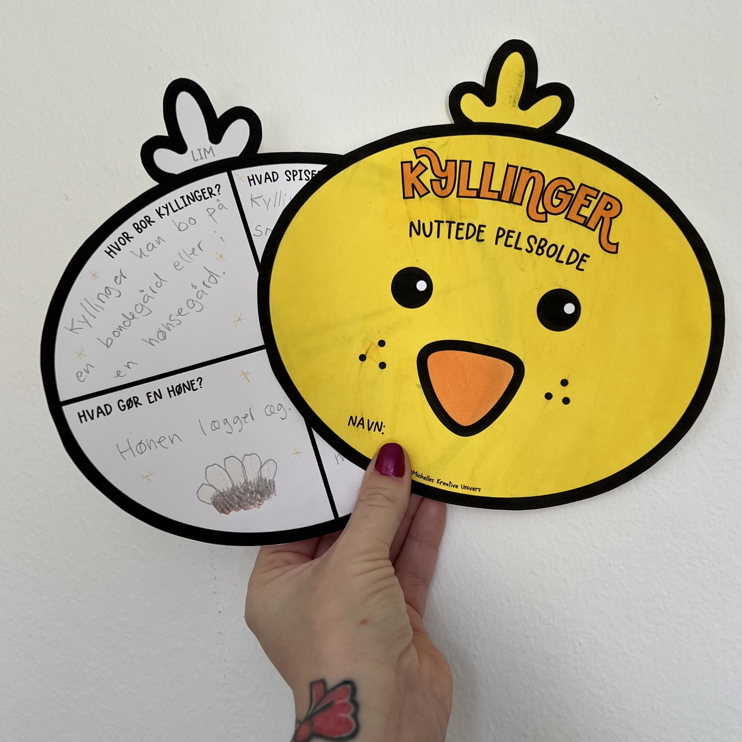 Læs og forstå: Kyllinger - nuttede pelsbolde - Billede 7