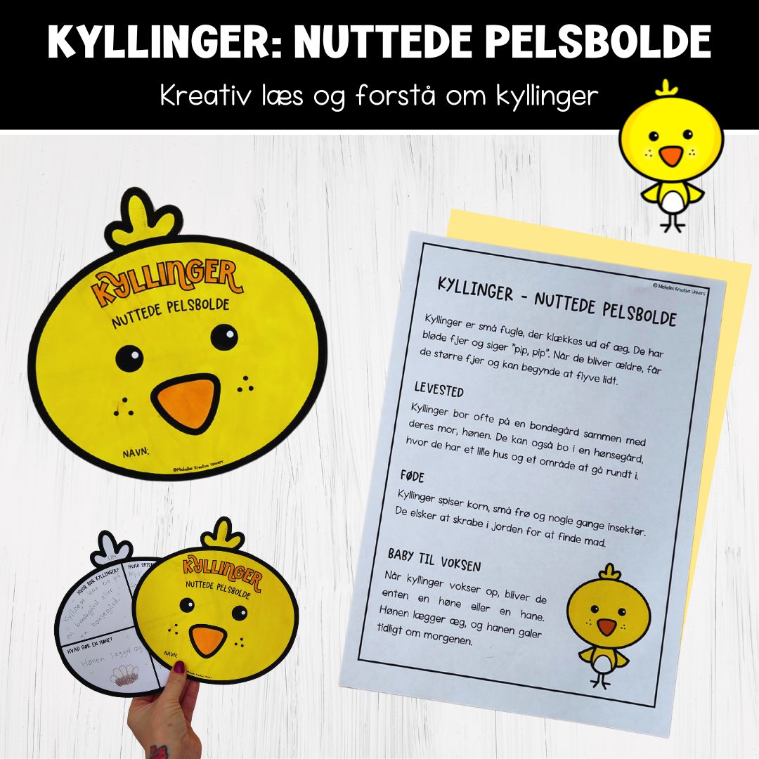 Læs og forstå: Kyllinger - nuttede pelsbolde