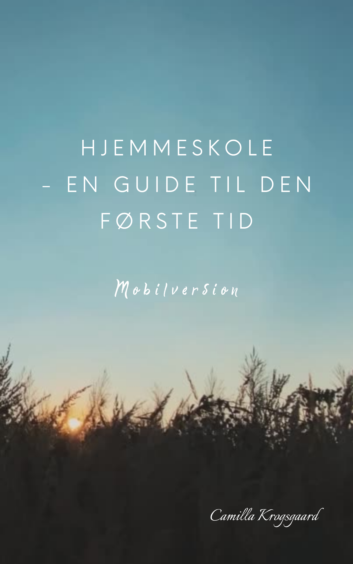 Hjemmeskole-guide (E-bog) - Billede 2