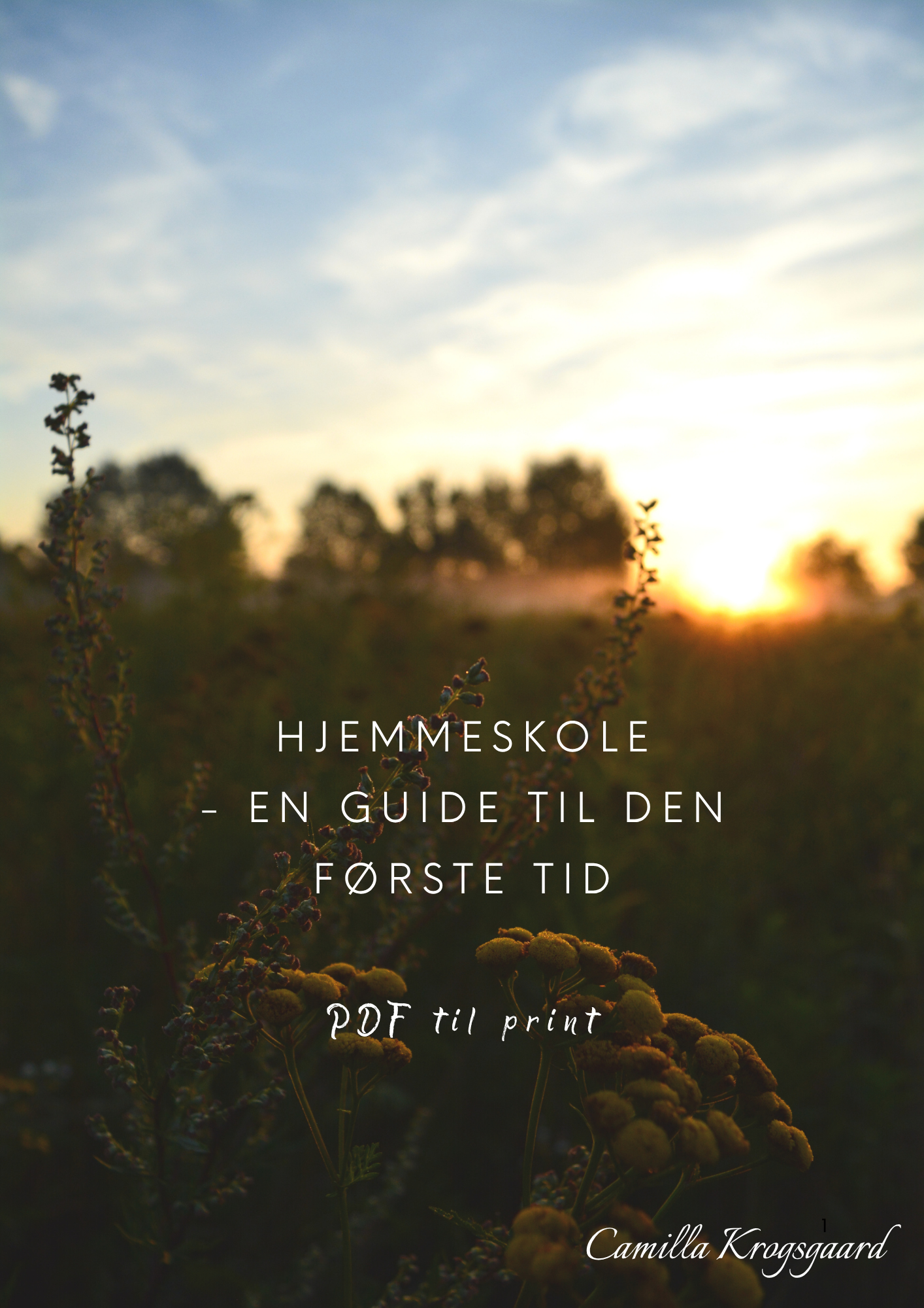 Hjemmeskole-guide (E-bog) - Billede 3