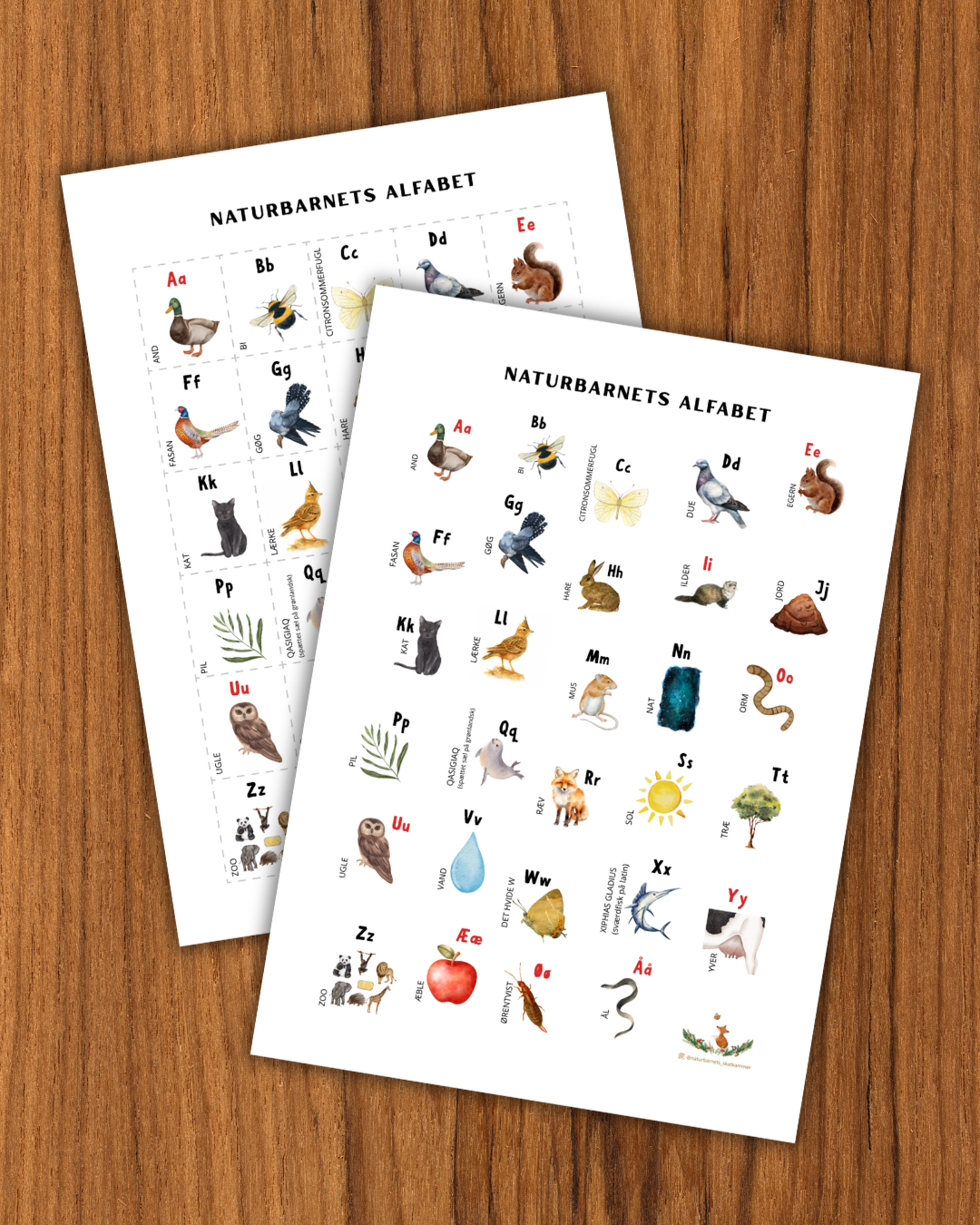 Skolestartspakke - Billede 3