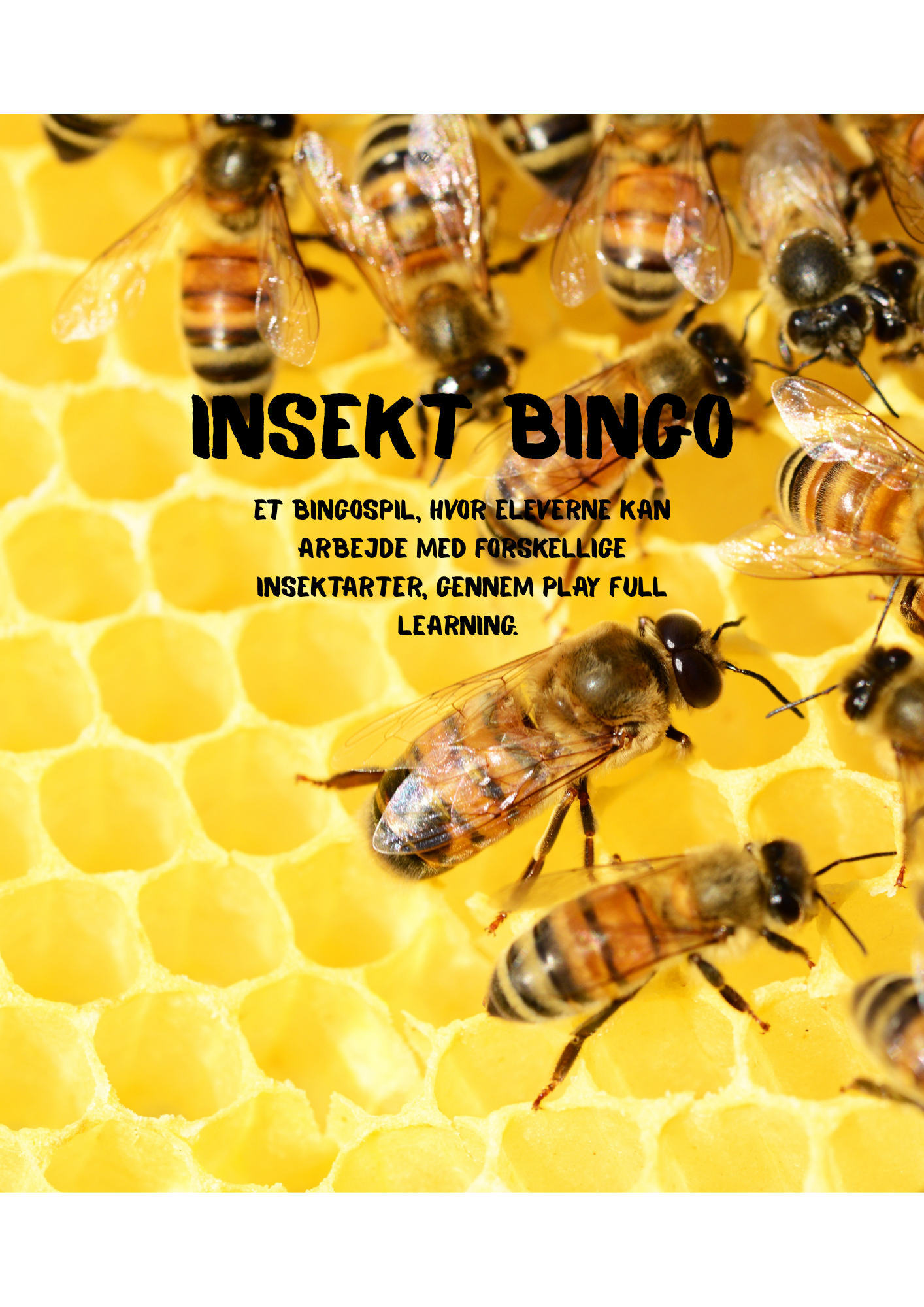 Insektbingo