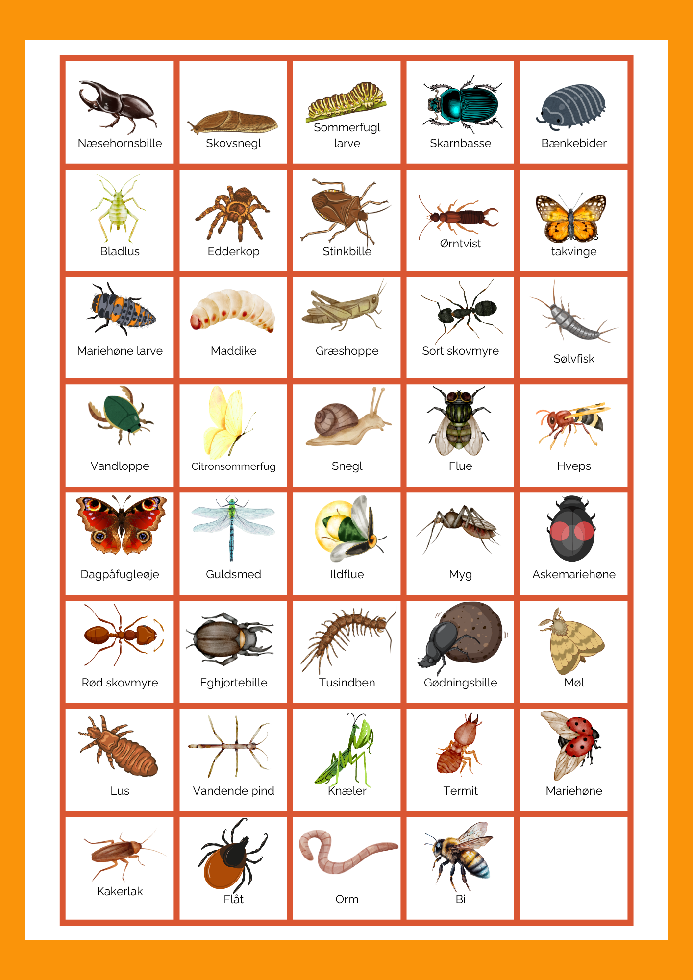 Insektbingo - Billede 7