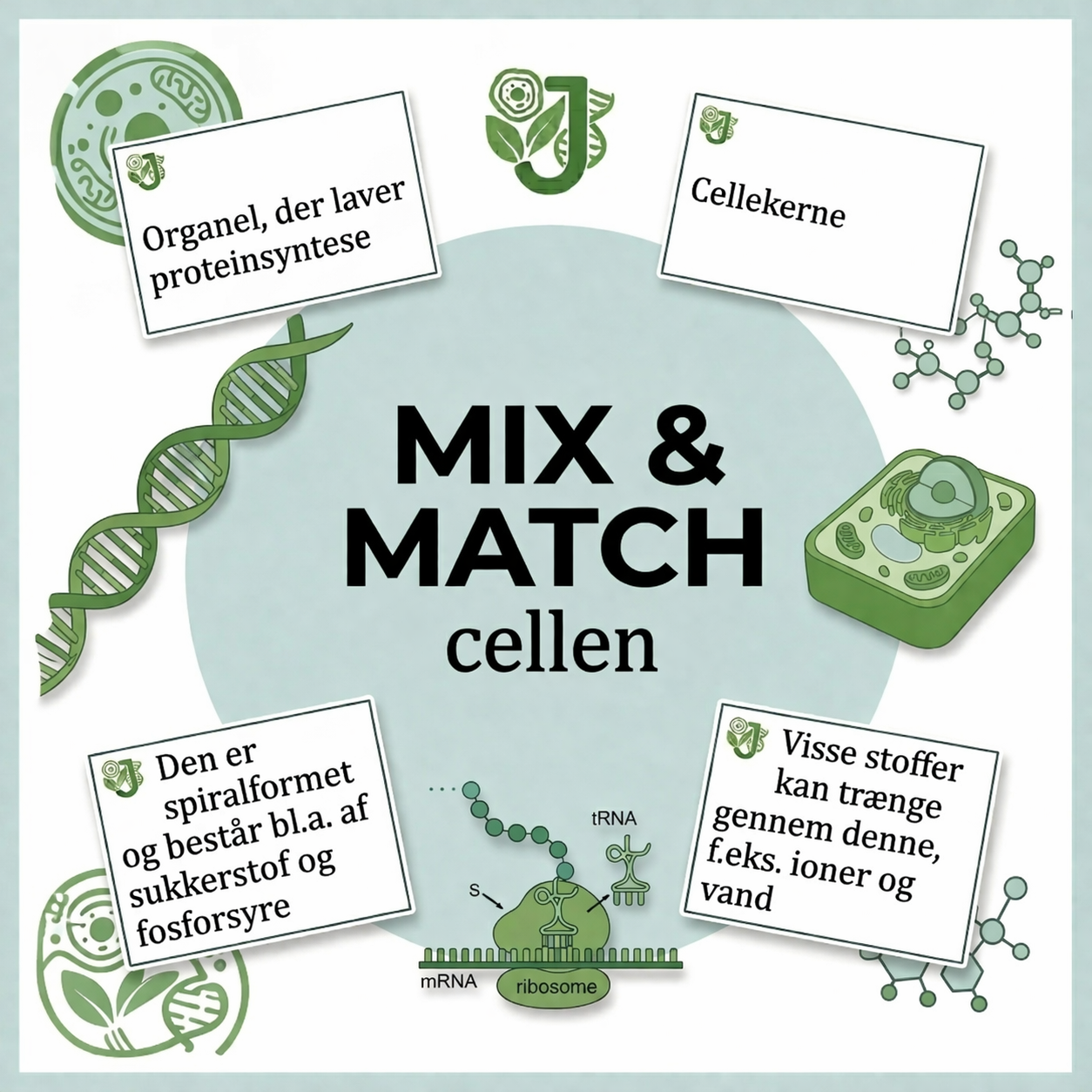 Mix og match - cellen