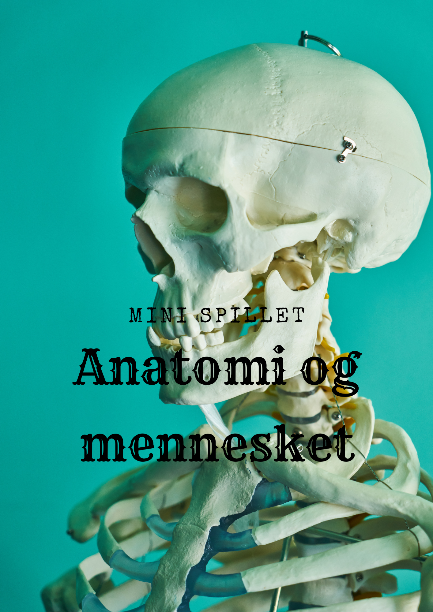 Mini-spil - Anatomi og mennesket