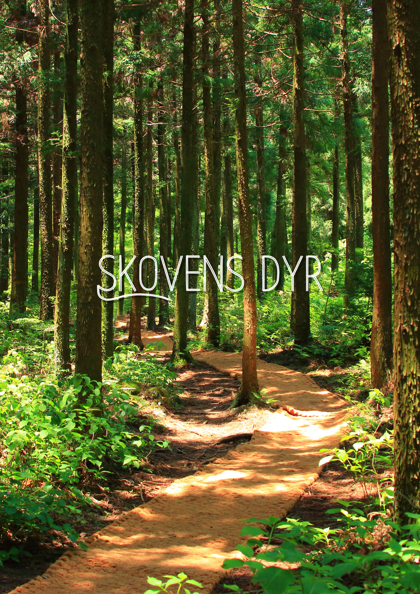 Skovens dyr - postløb