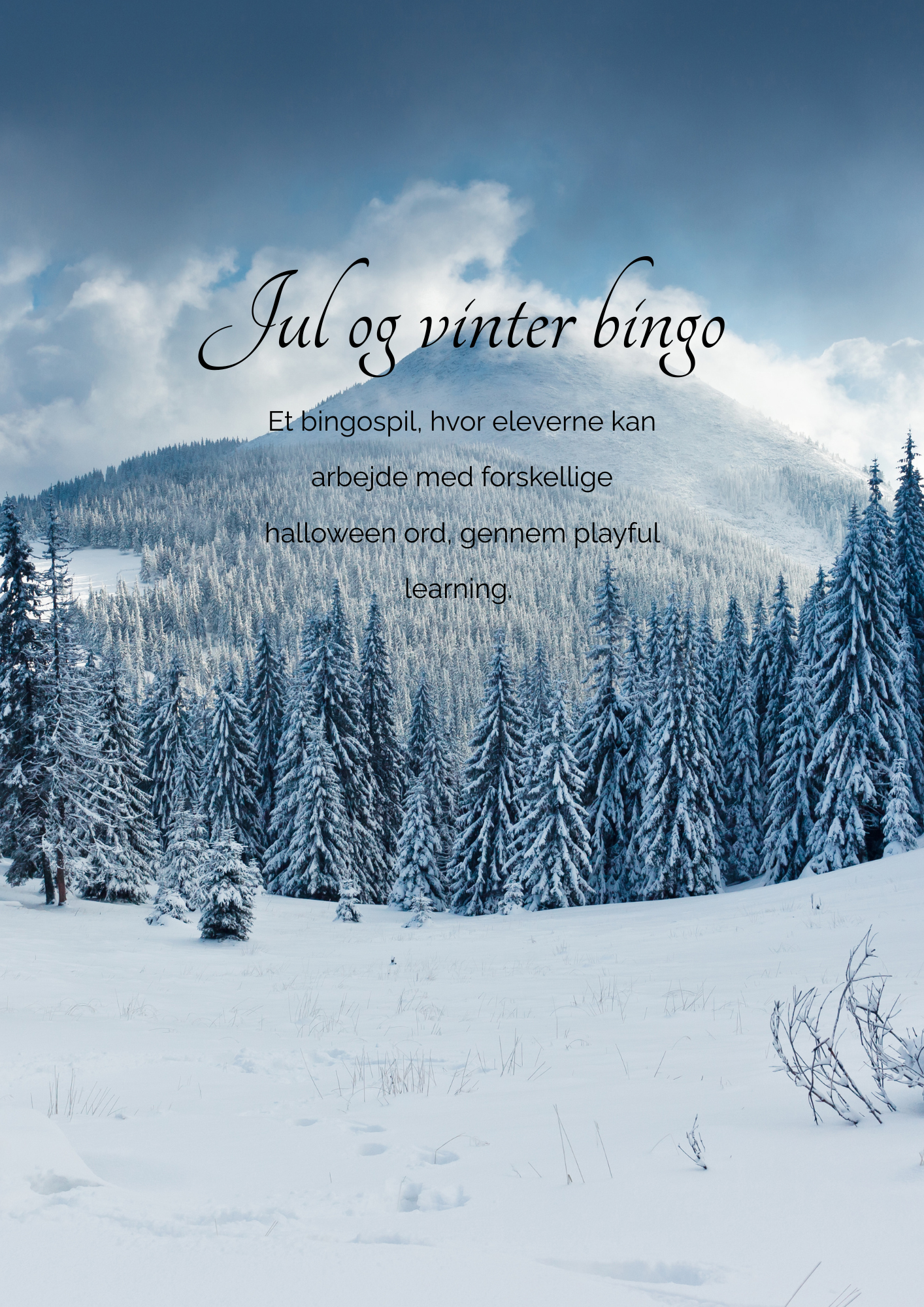 Jul- og vinterbingo