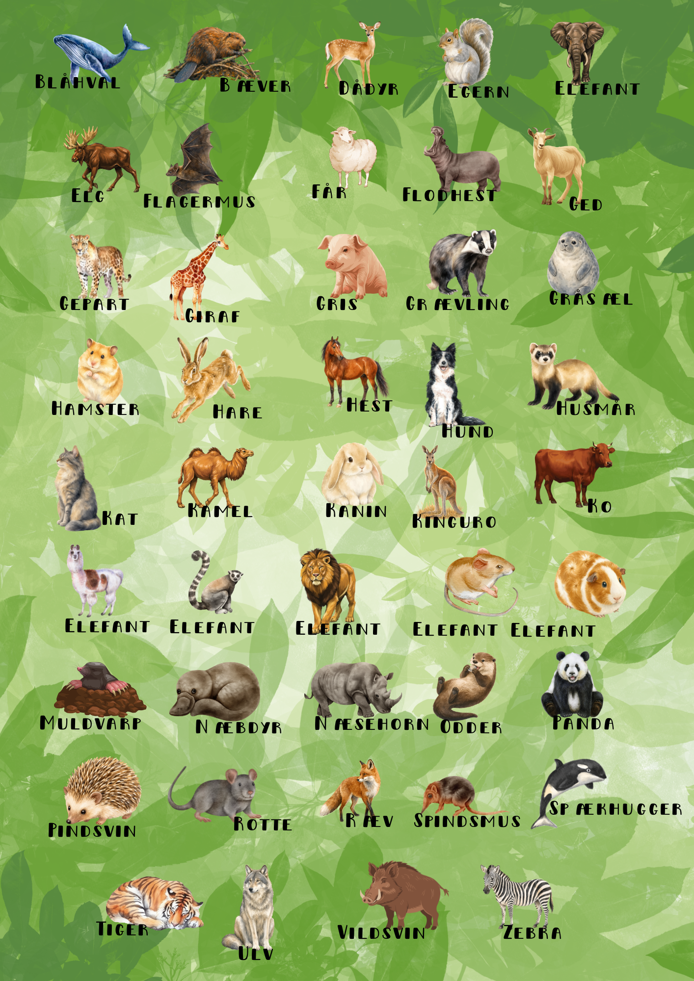 Pattedyrs-bingo - Billede 3